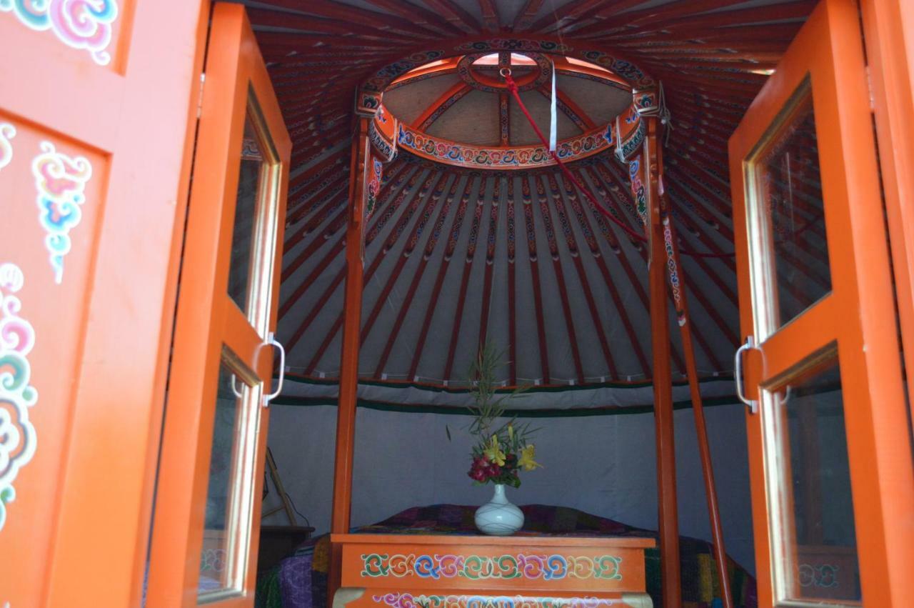 Les Colombines Panzió Hombleux Kültér fotó